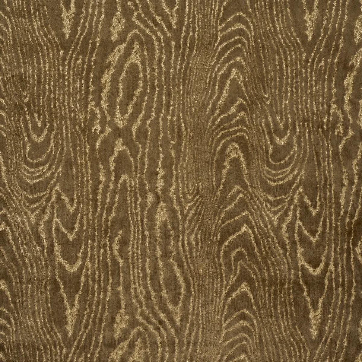 MARISA MOIRE VELVET_ CAMEL