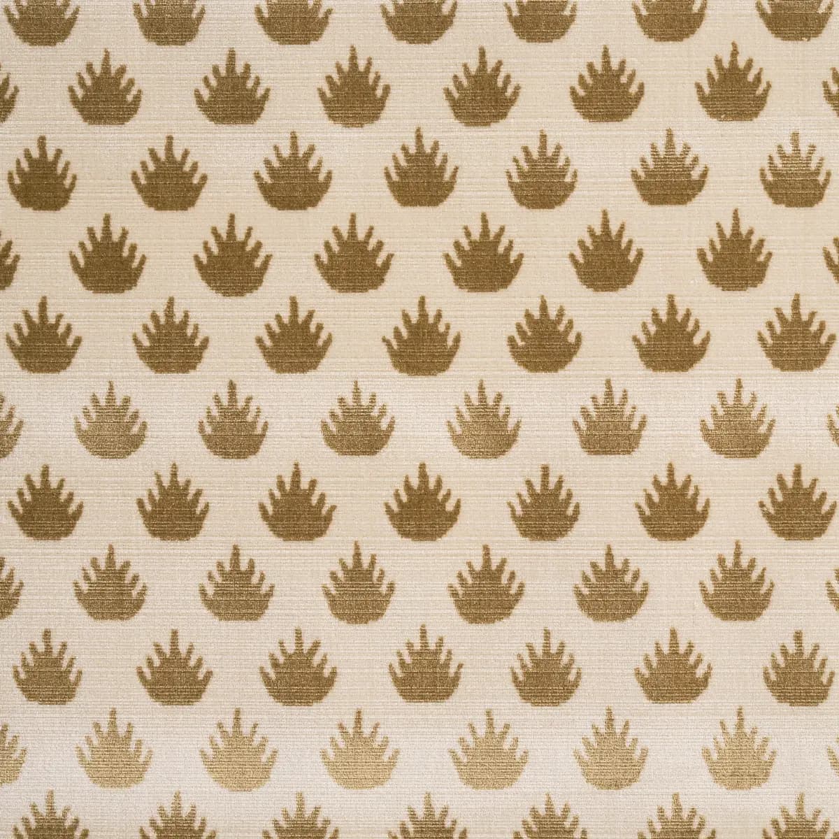 CORONATION VELVET_ CAMEL