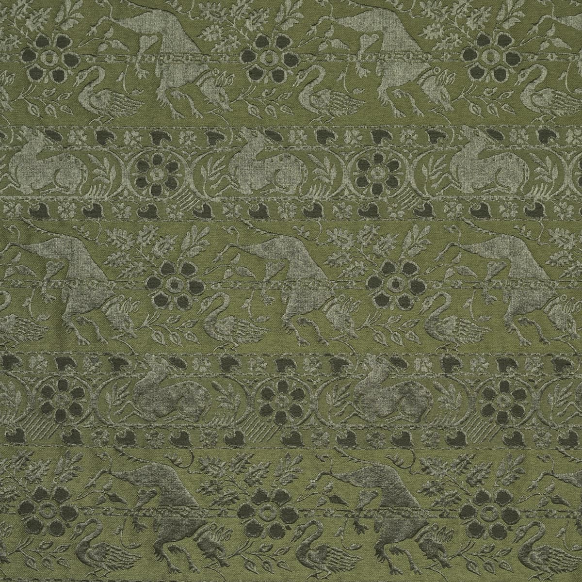 ANIMALI_ MOSS