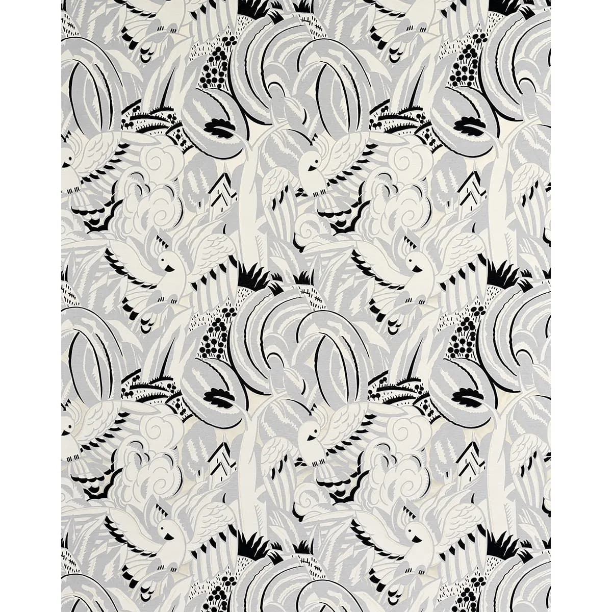 PARROTS MODERNE_ DOVE