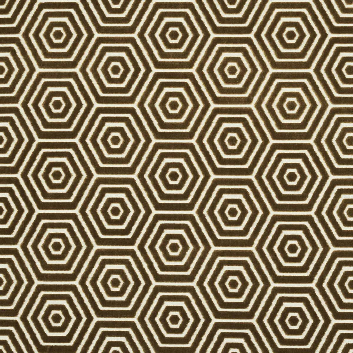 BEES KNEES CUT VELVET_ GOLD