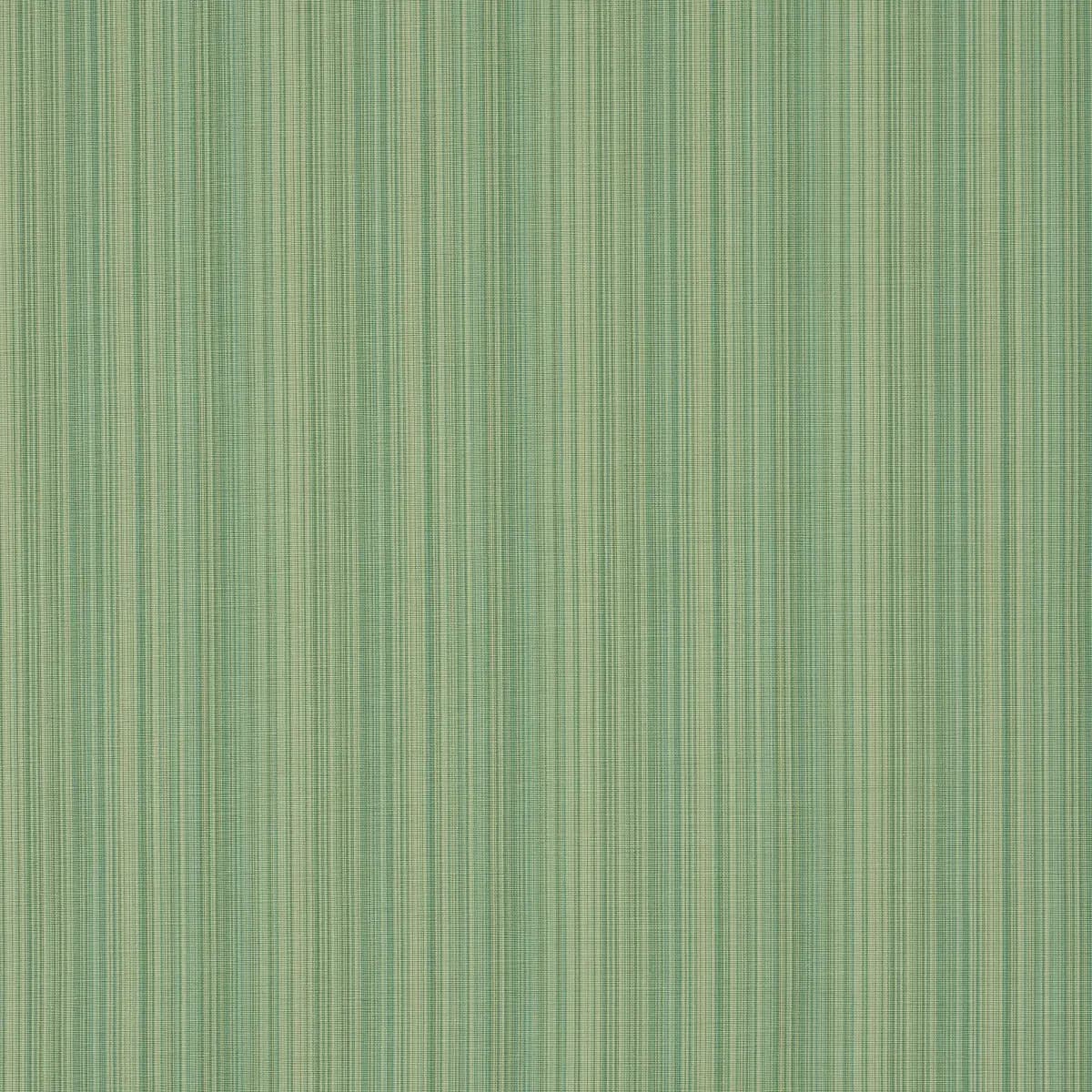 GRACIE SOLID STRIÉ_ EMERALD
