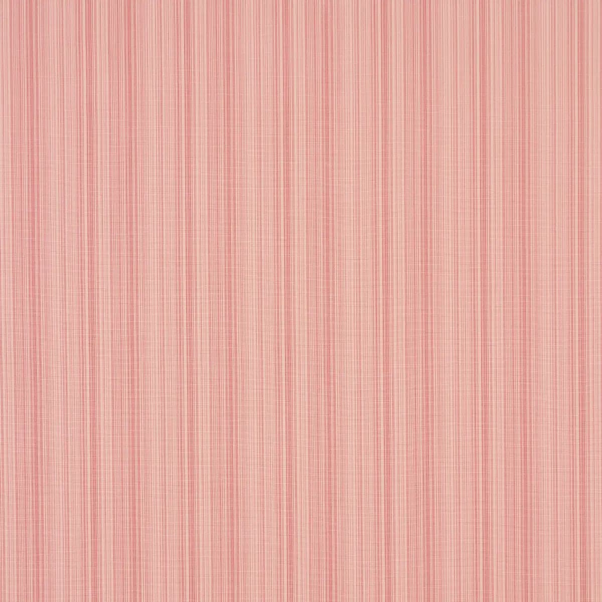 GRACIE SOLID STRIÉ_ FADED RED