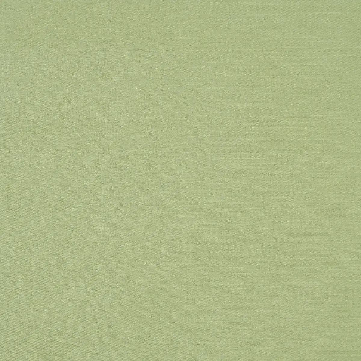 JUDY TEXTURE_ CELADON
