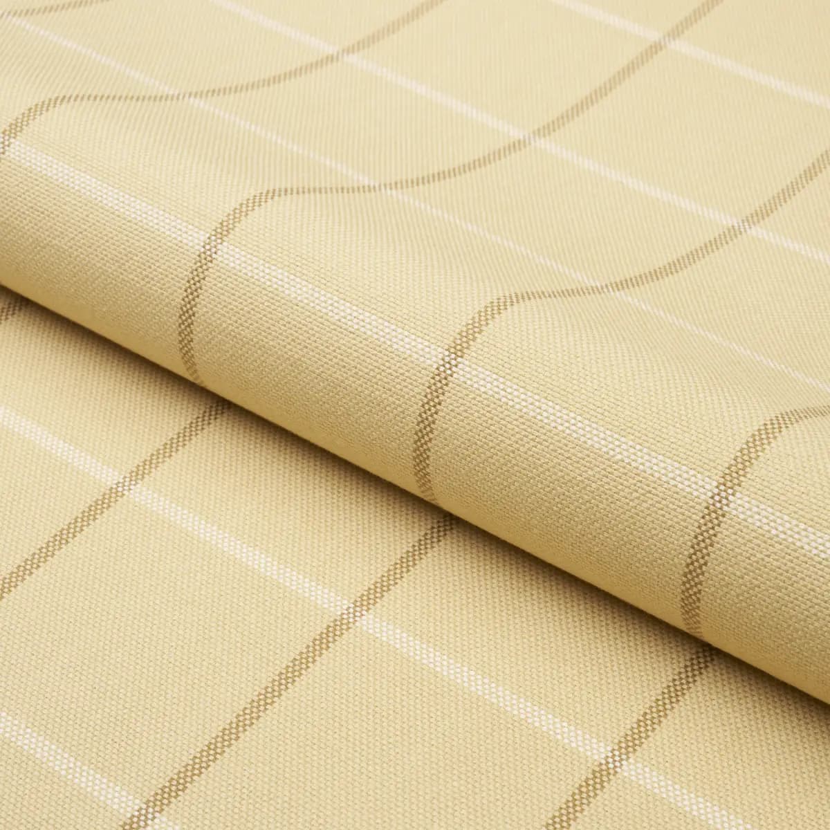 FRANNIE WINDOWPANE_ CAMEL