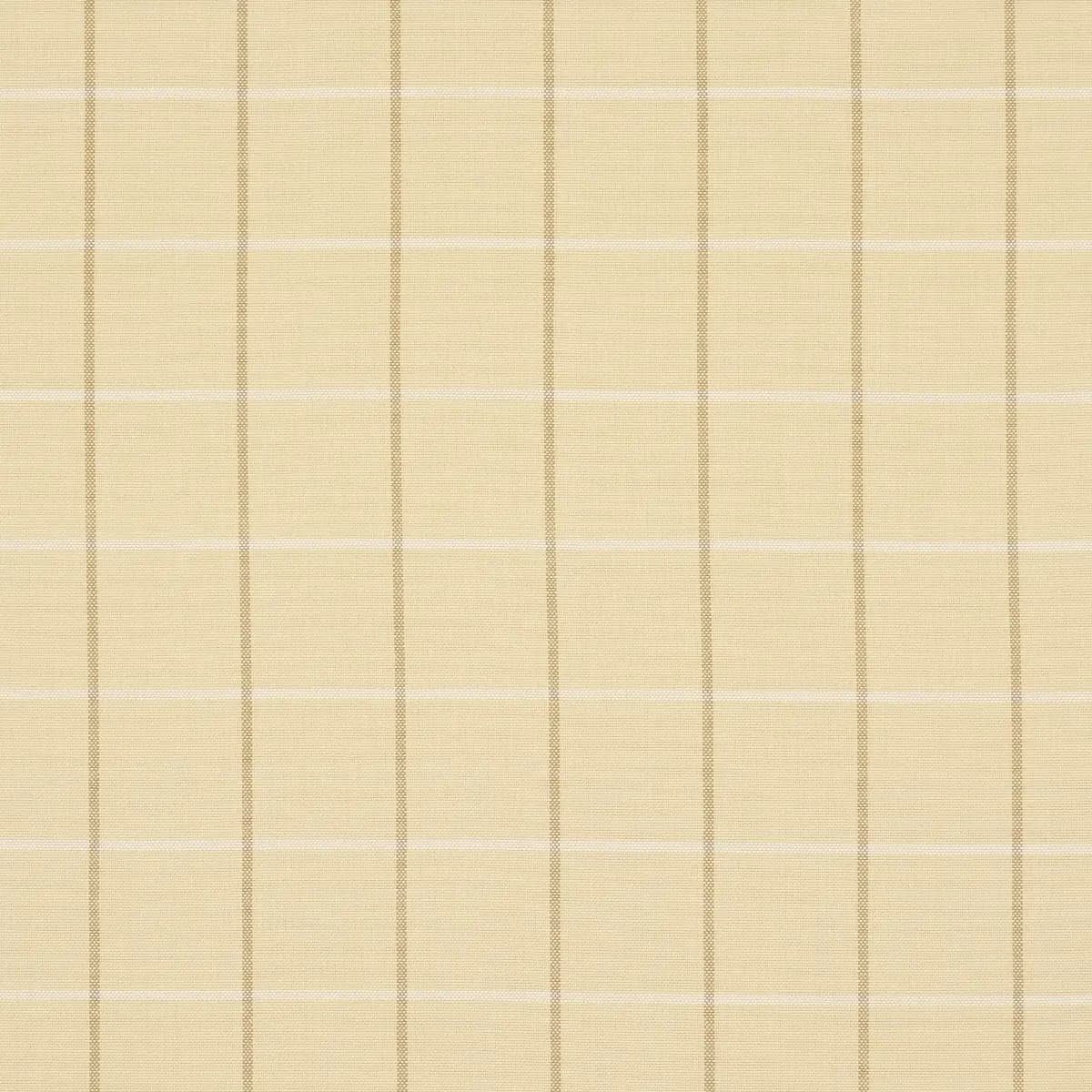 FRANNIE WINDOWPANE_ CAMEL