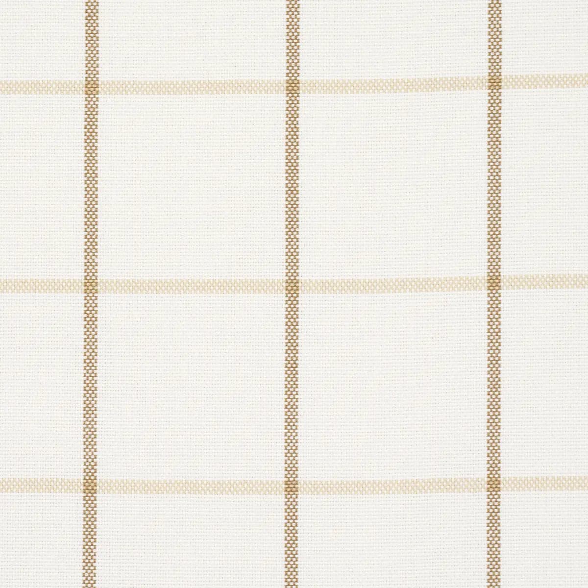 FRANNIE WINDOWPANE_ NEUTRAL