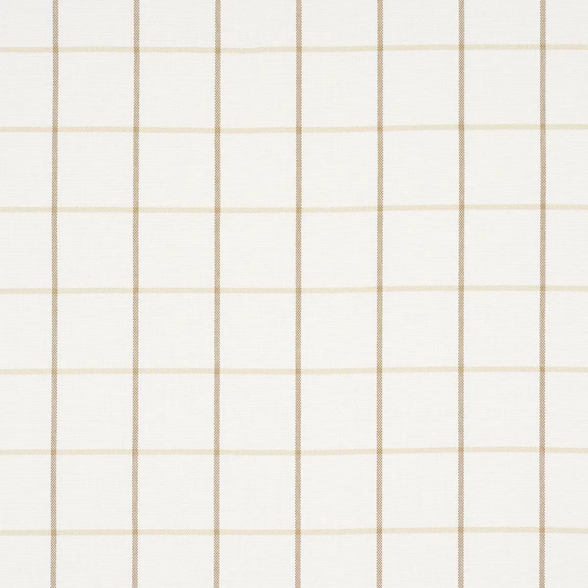 FRANNIE WINDOWPANE_ NEUTRAL
