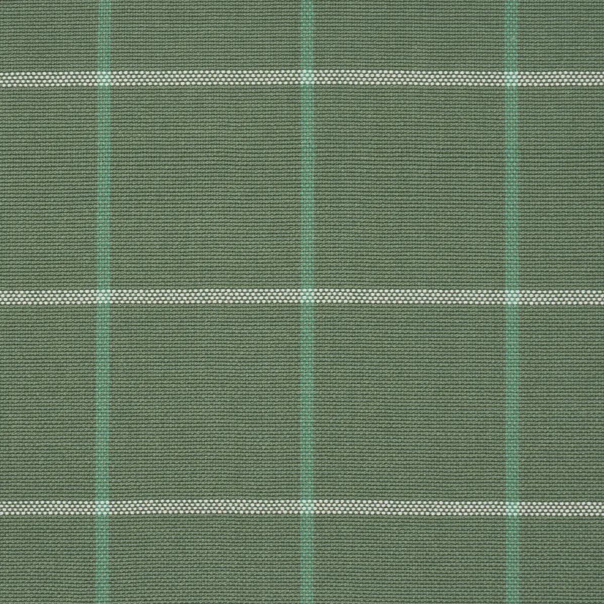 FRANNIE WINDOWPANE_ GREEN
