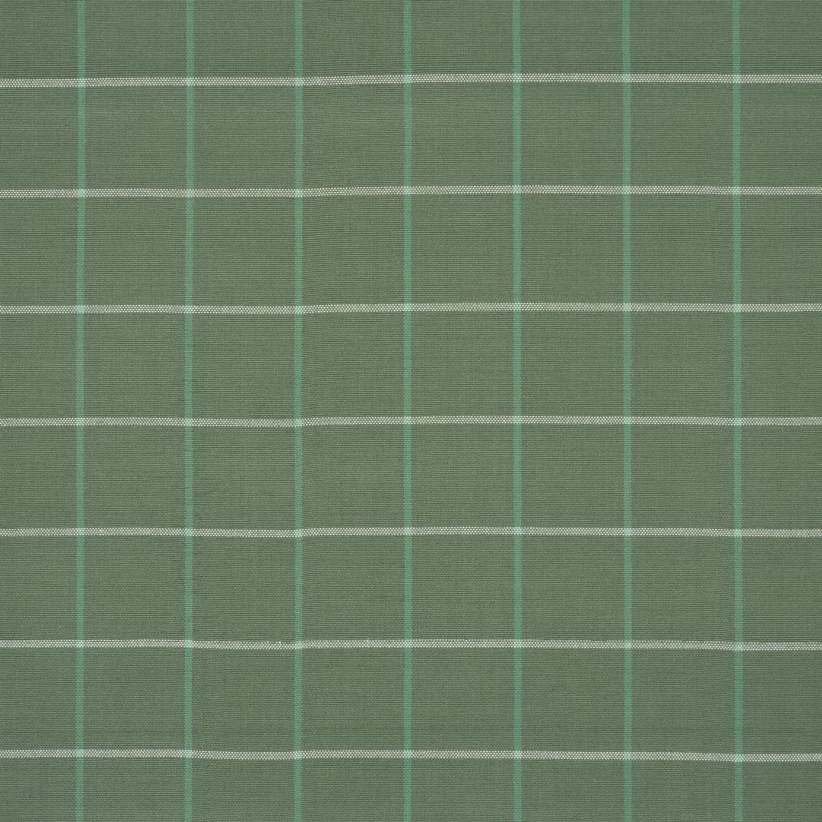 FRANNIE WINDOWPANE_ GREEN