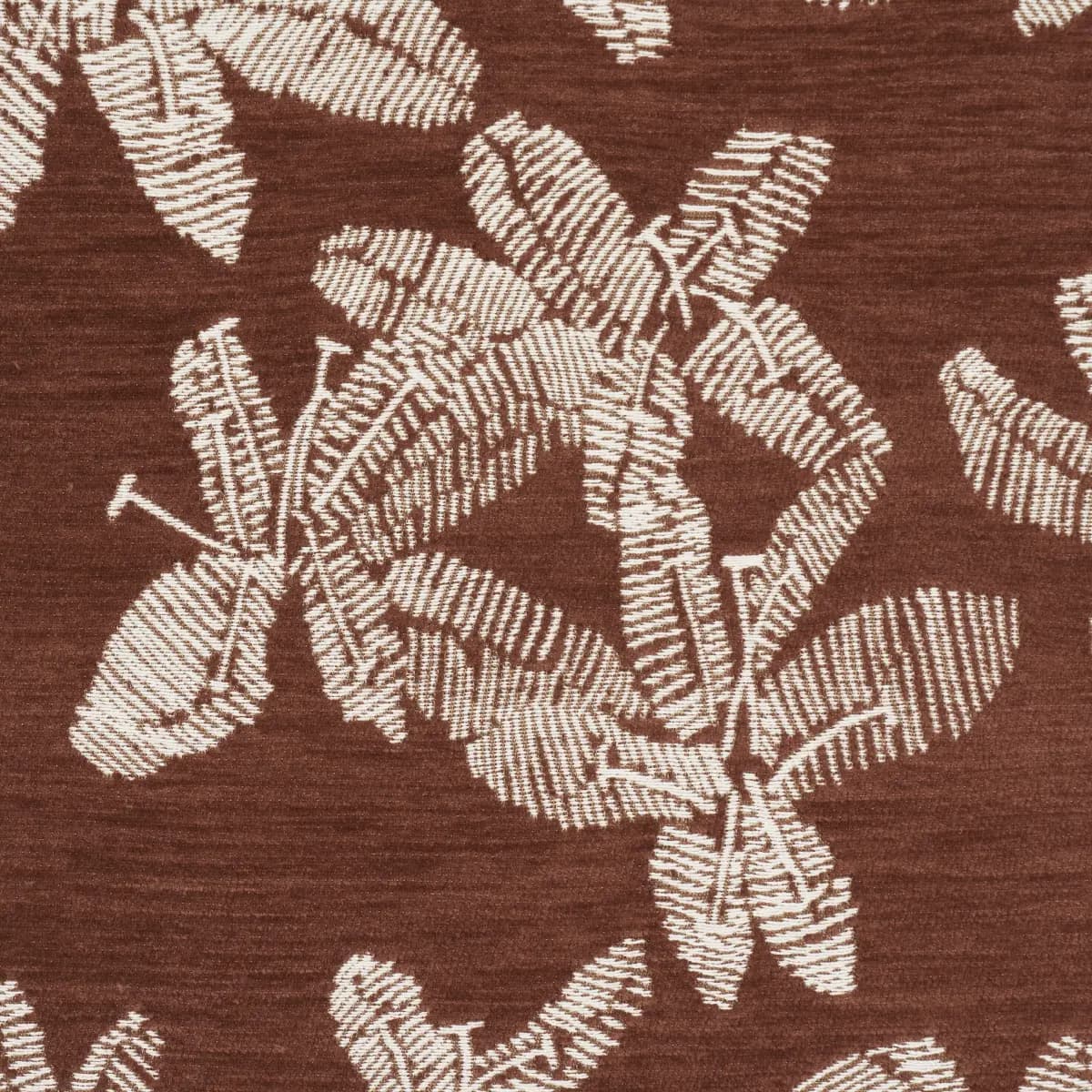 HIBISCUS_ TEAK