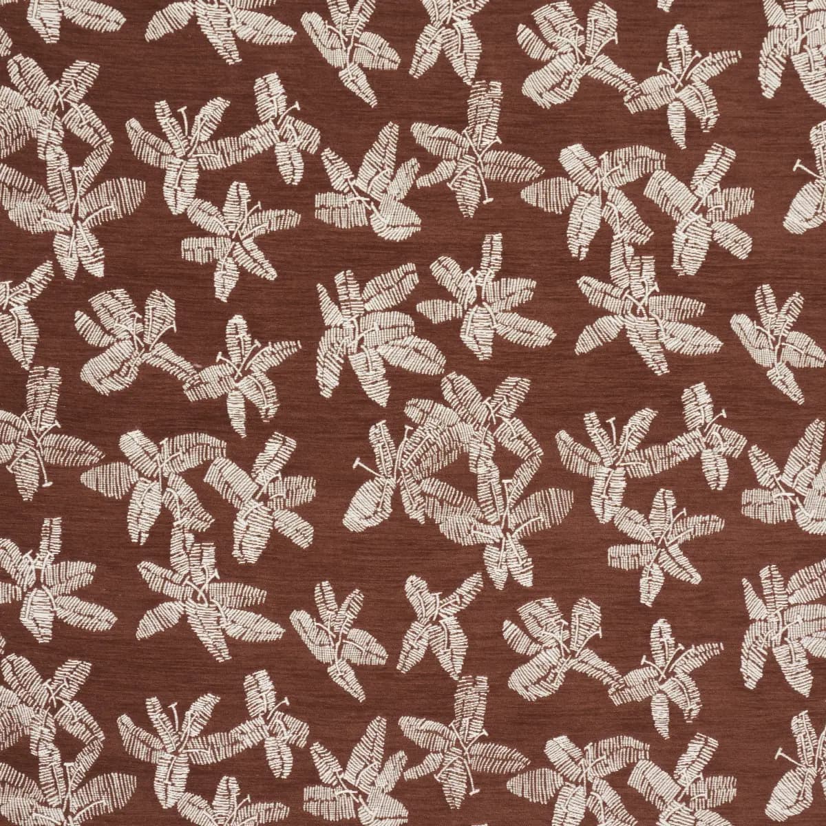 HIBISCUS_ TEAK