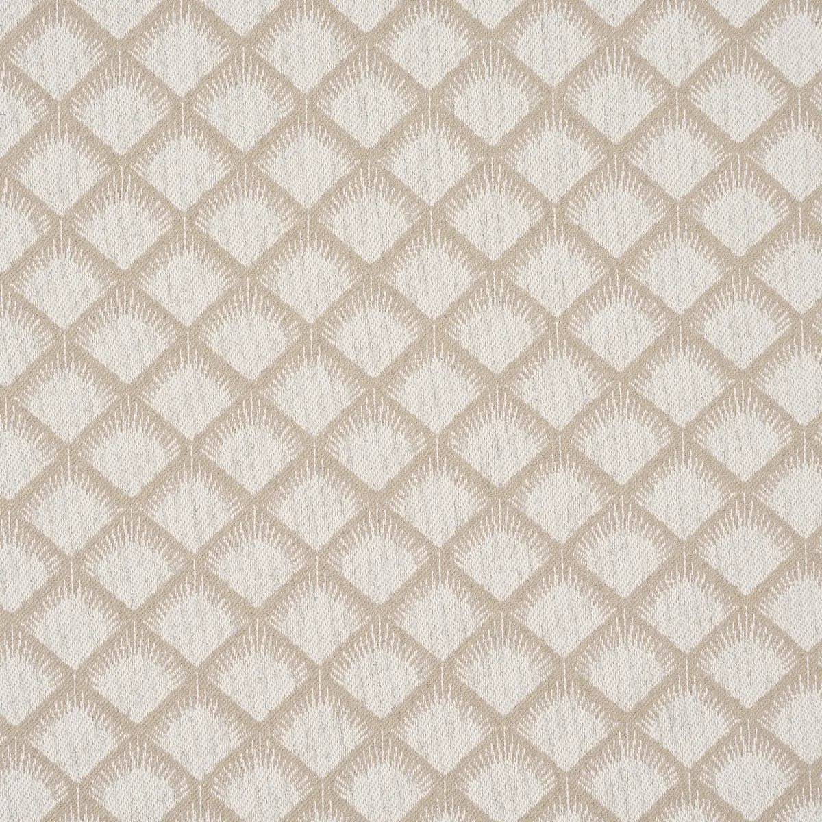 MAIZE_ IVORY