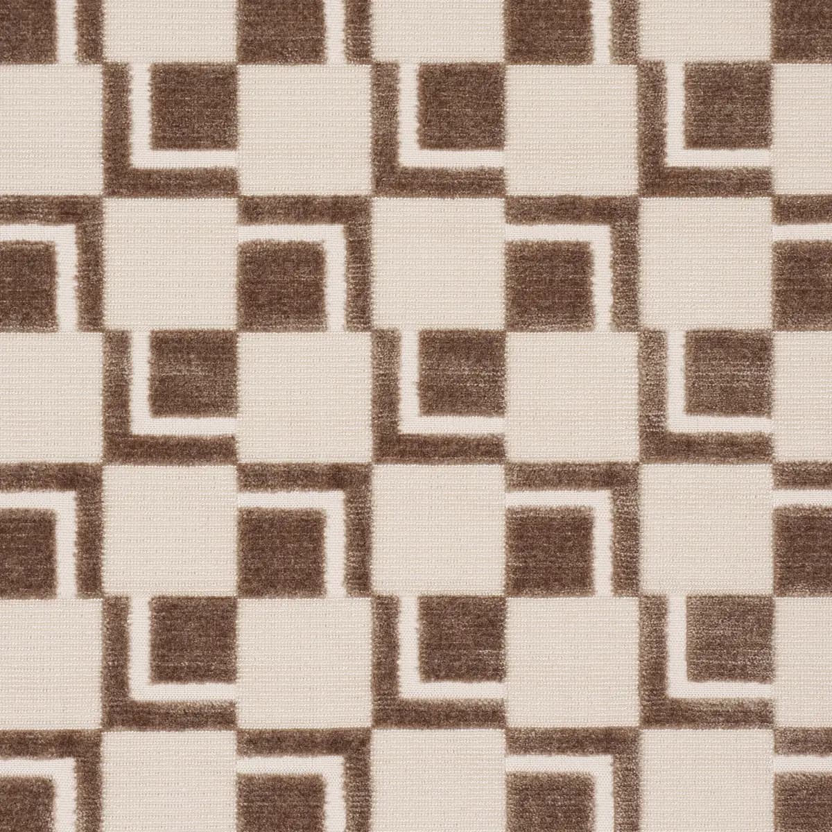 EDISON VELVET_ CHAMPAGNE