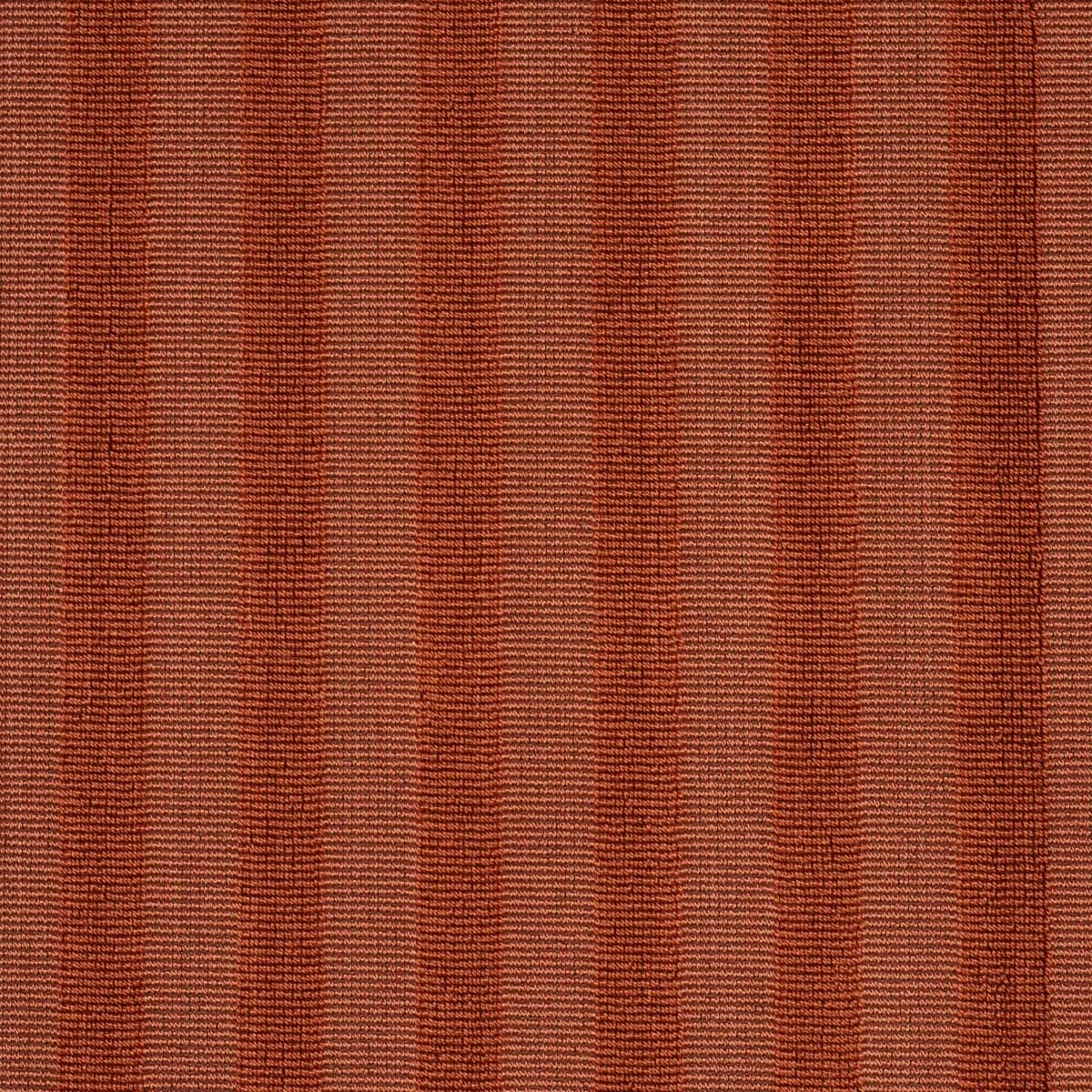 PIPE ILLUSION_ PAPAYA