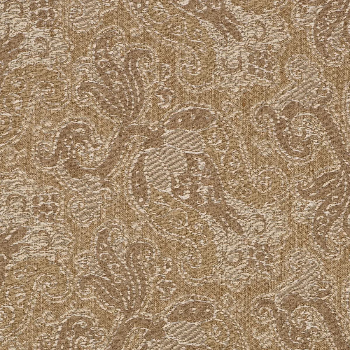 TULIPANO_ CARAMEL