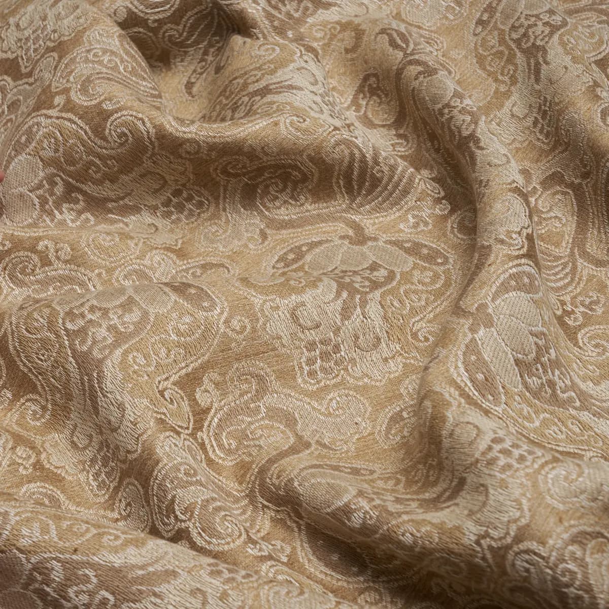 TULIPANO_ CARAMEL