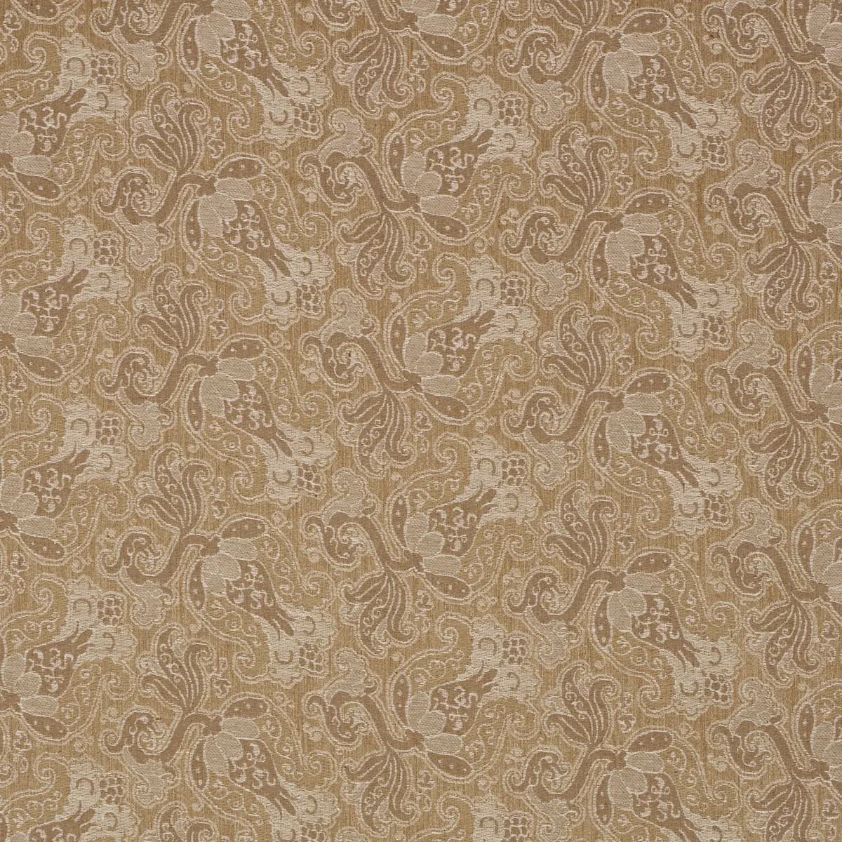 TULIPANO_ CARAMEL