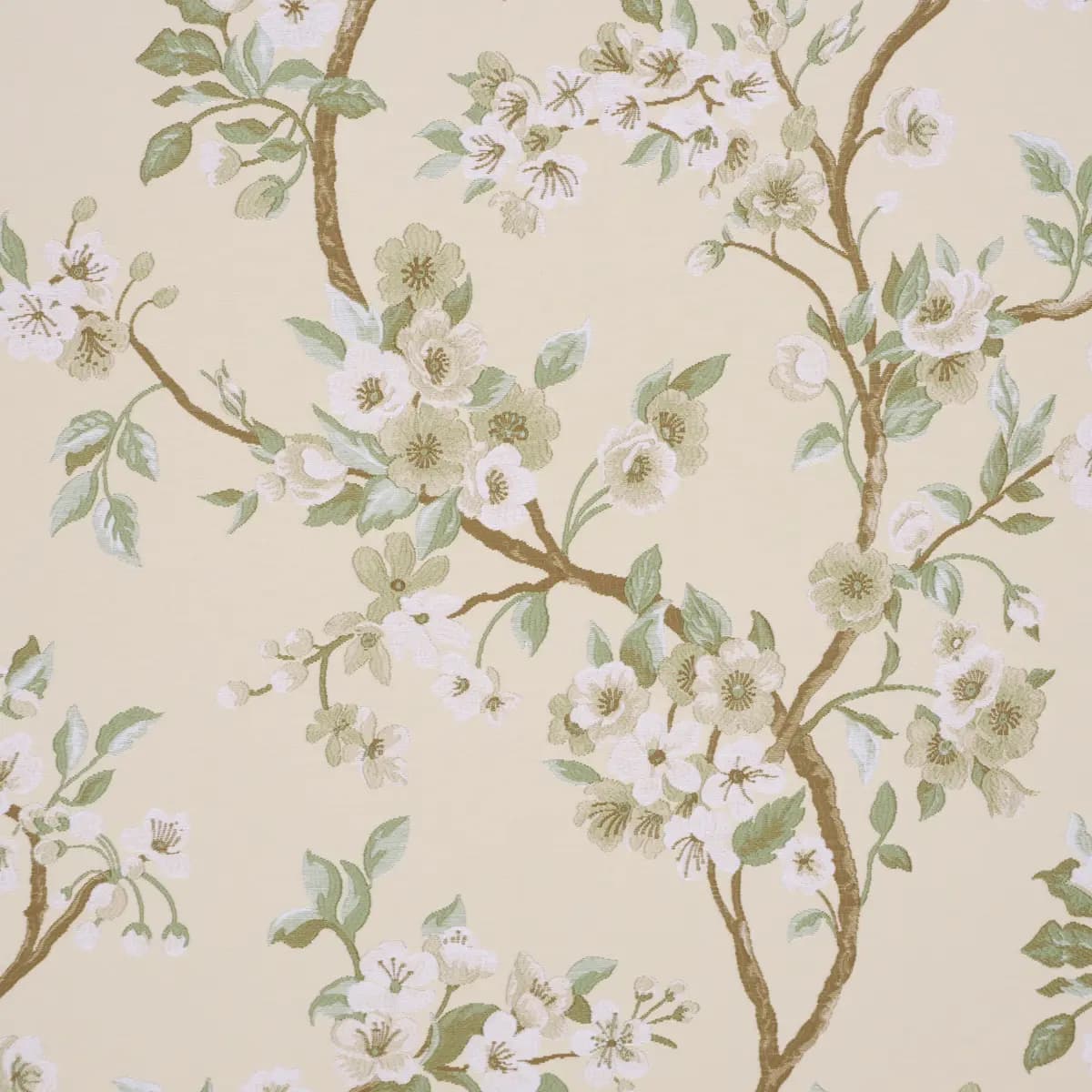 CHERRY BLOSSOM_ CITRON
