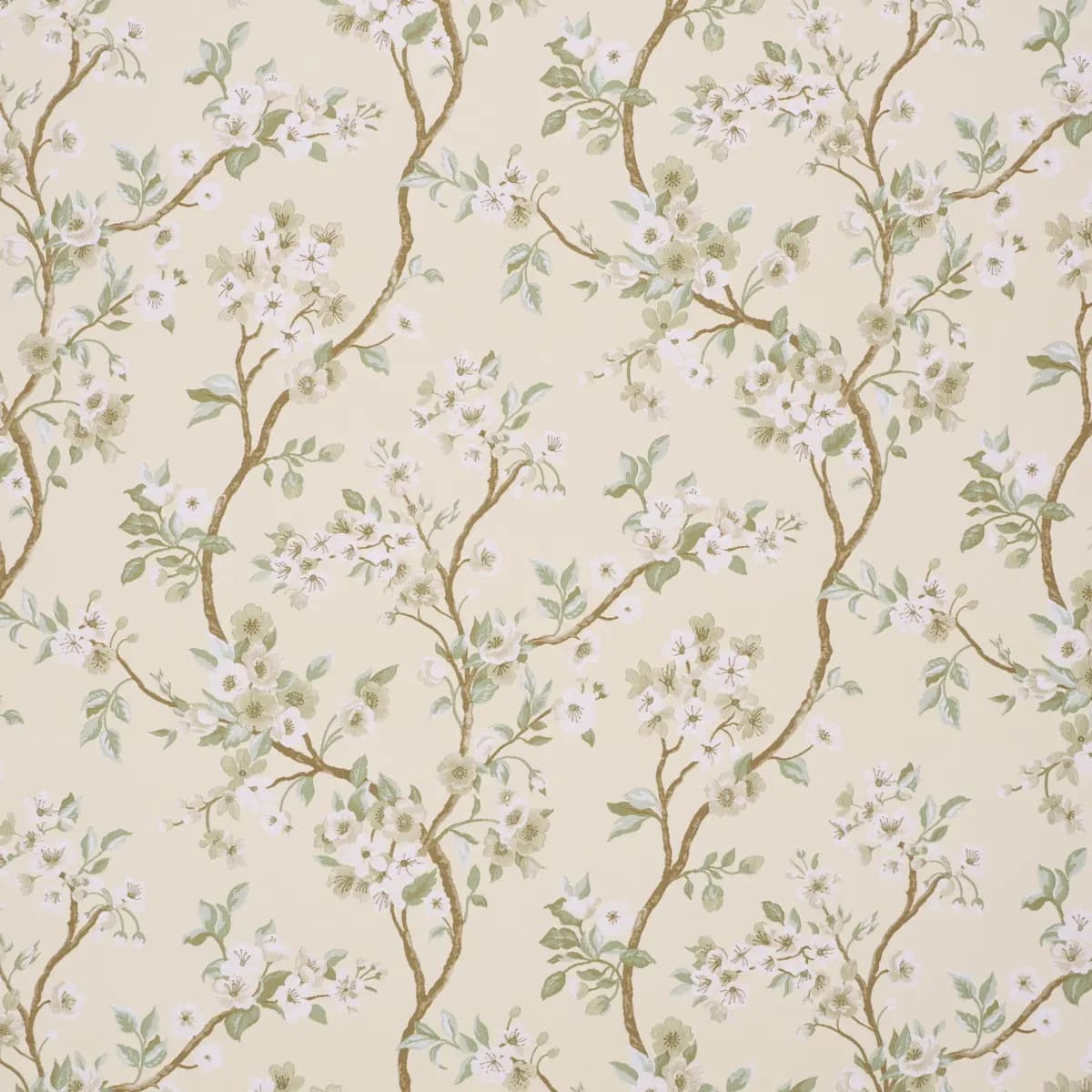 CHERRY BLOSSOM_ CITRON