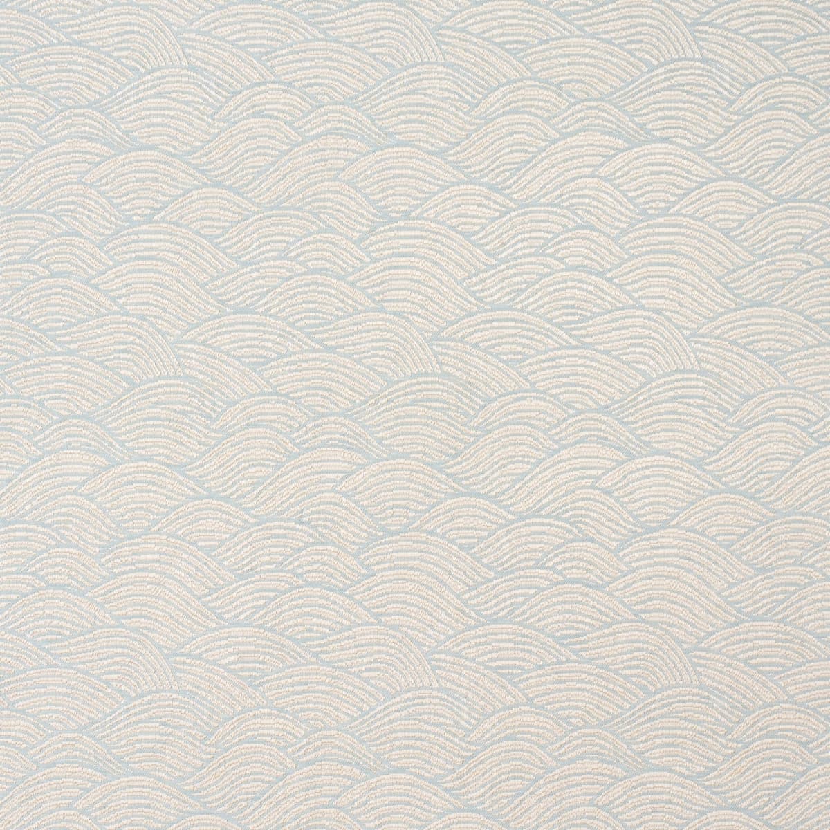 SYMPHONY SCALLOP_ SKY