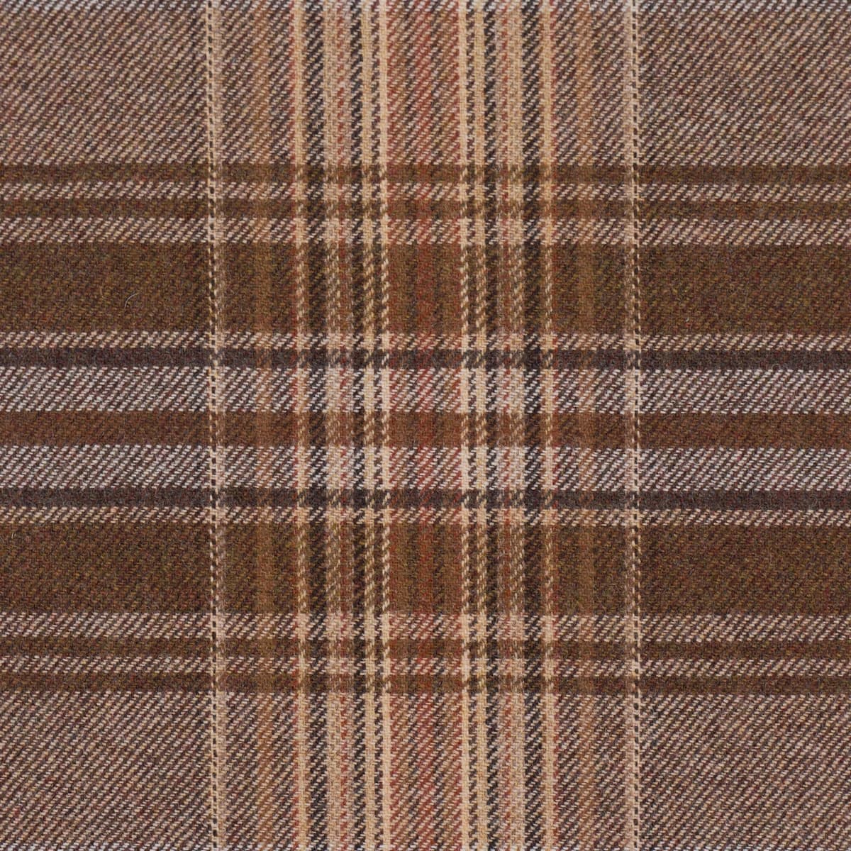 CAMPBELL PLAID_ TERRA
