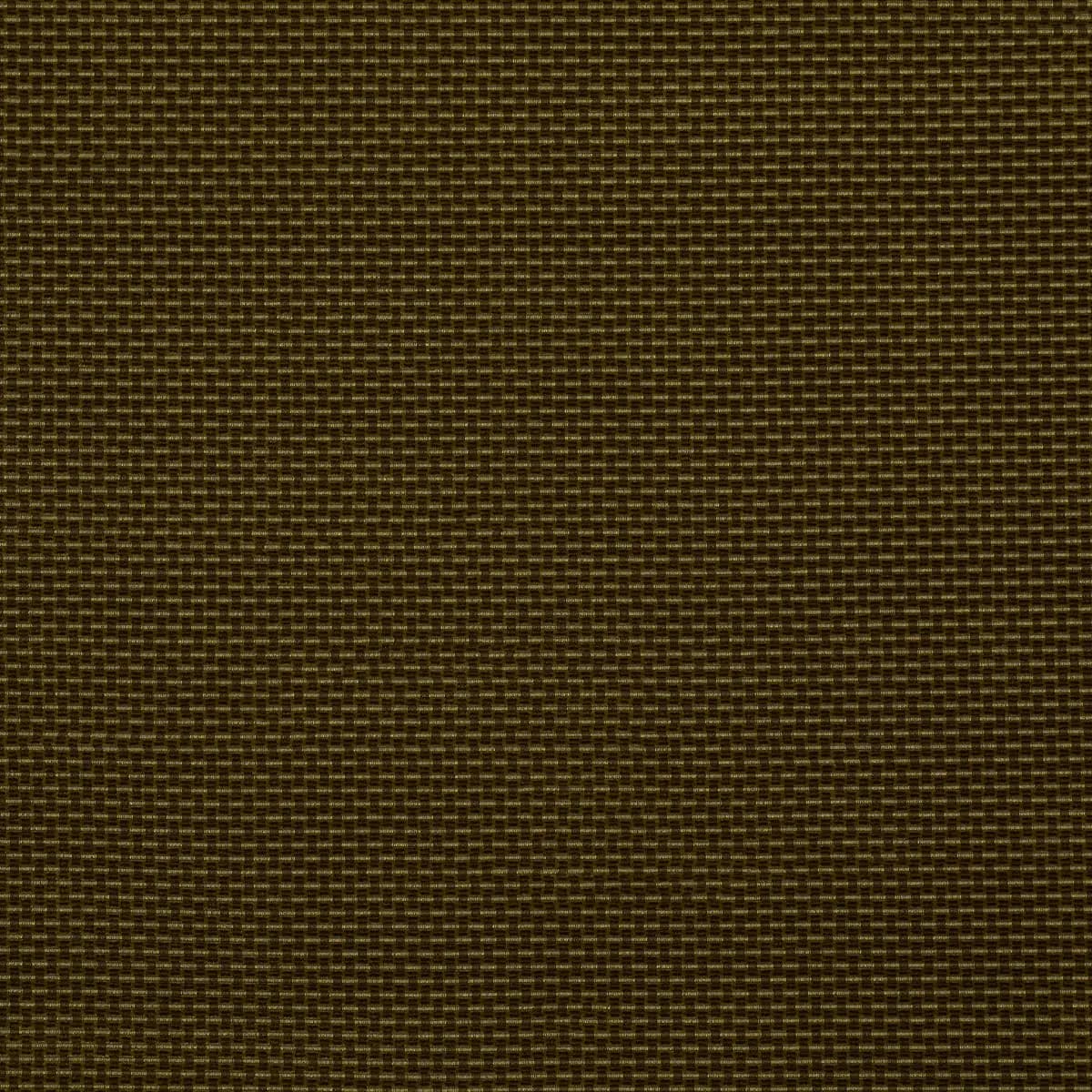 NIKKI PERFORMANCE_ OLIVE