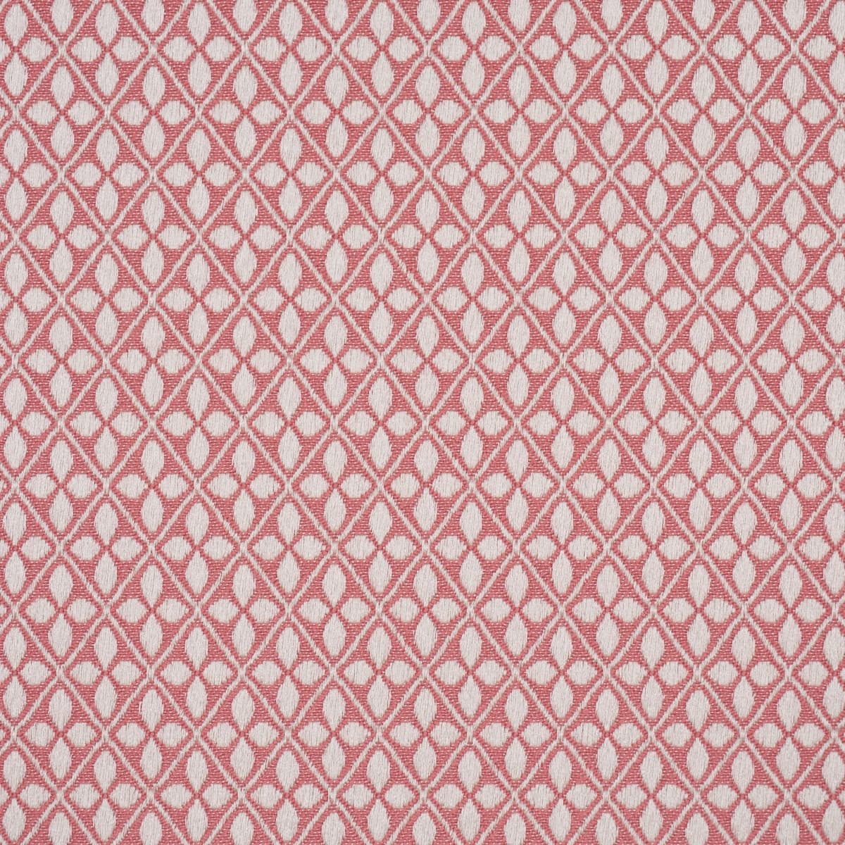 ADAMS DAMASK_ PINK