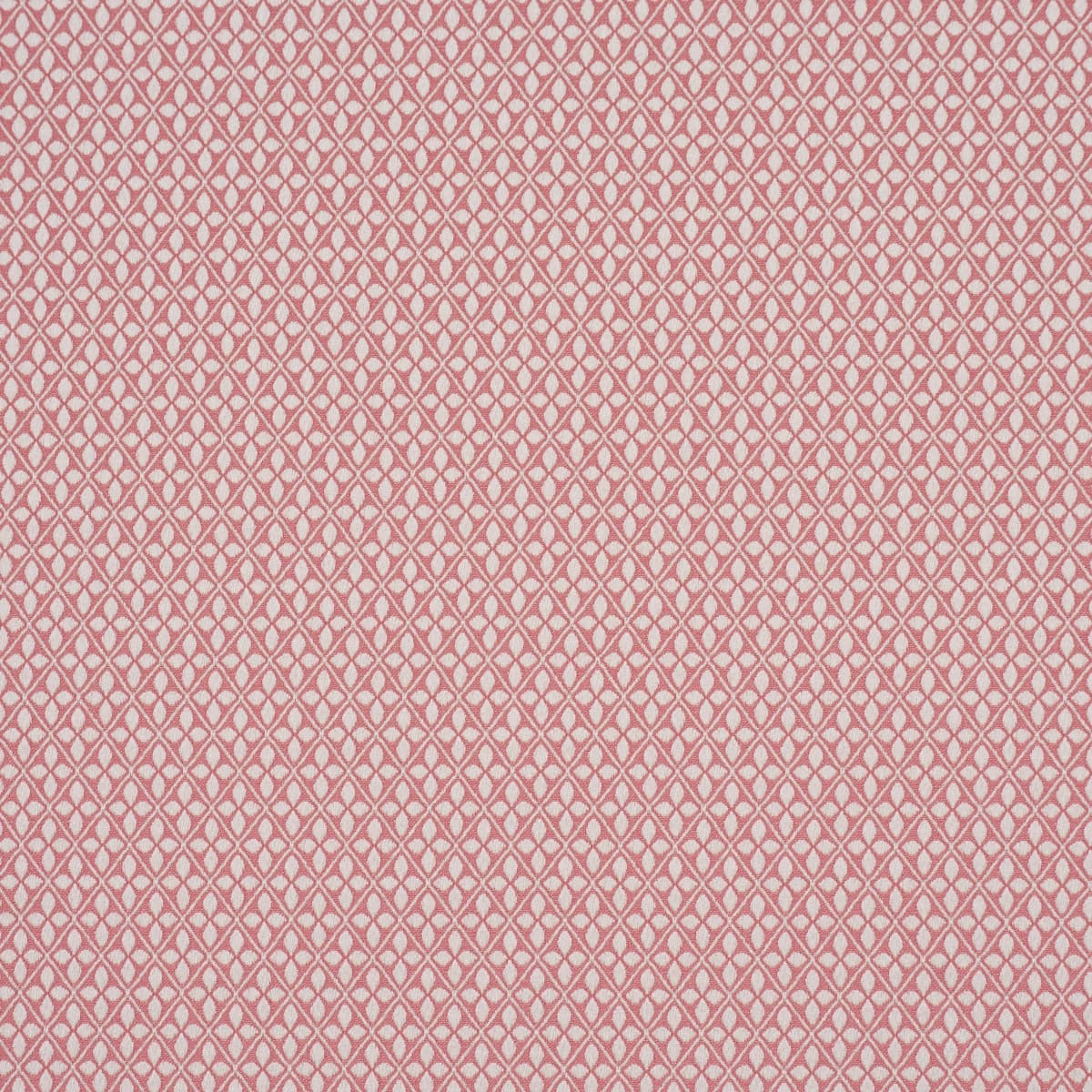 ADAMS DAMASK_ PINK
