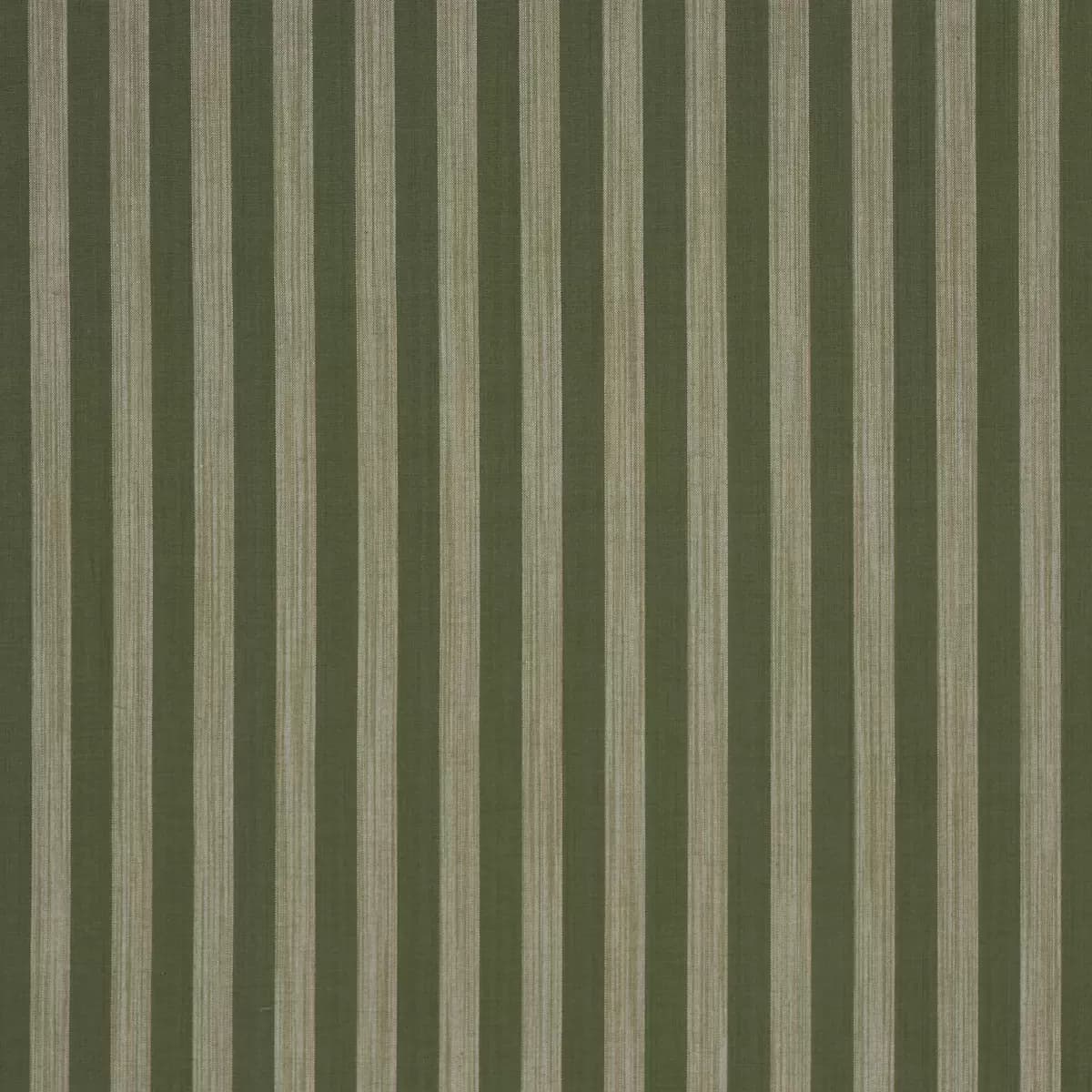 Jonah Stripe_ GREEN