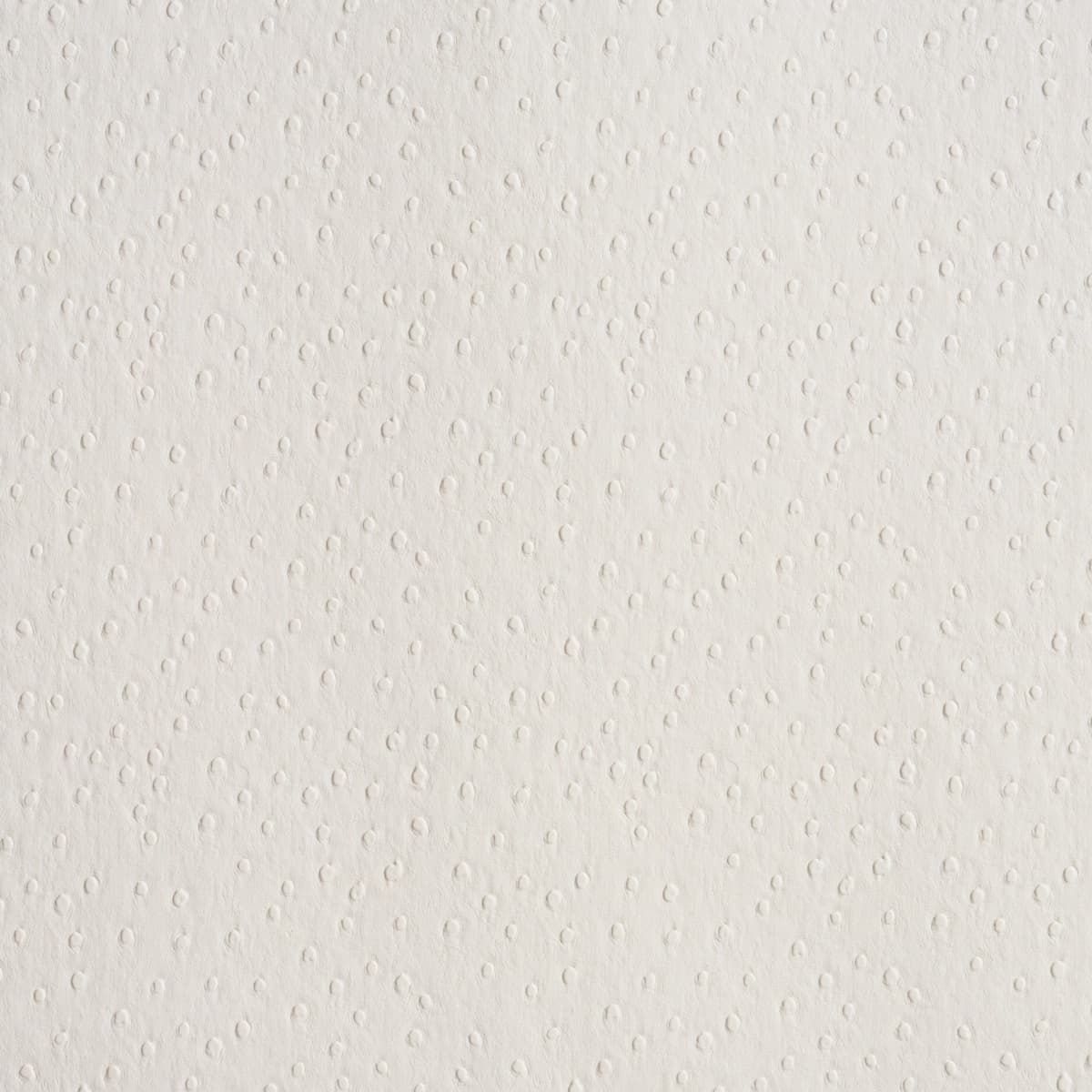 OSTRICH VEGAN LEATHER_ IVORY