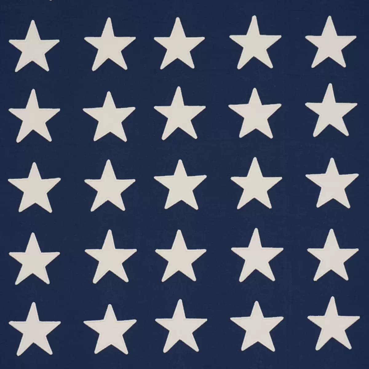 Starfield Appliqué_ NAVY
