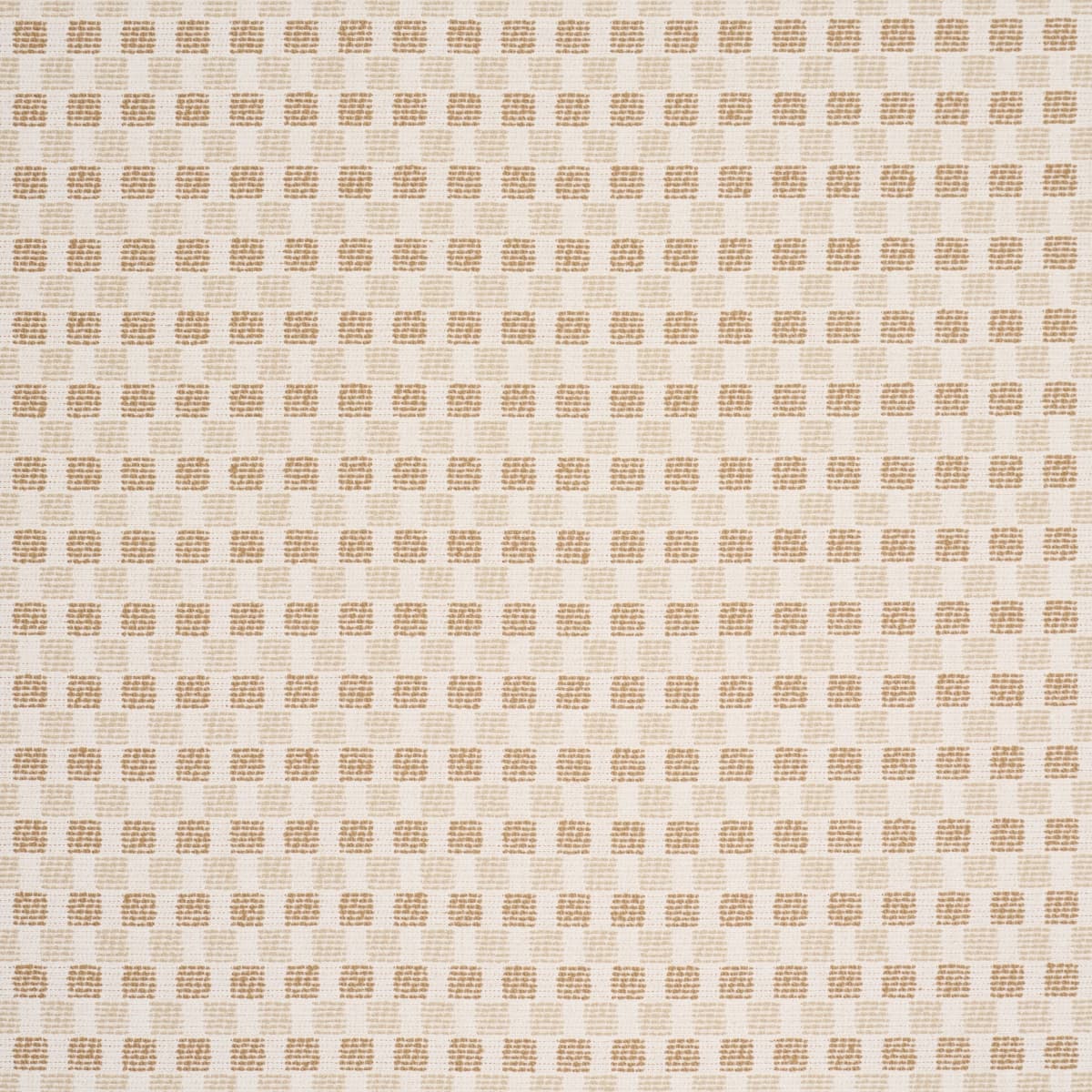 ELARA PERFORMANCE_ STRAW