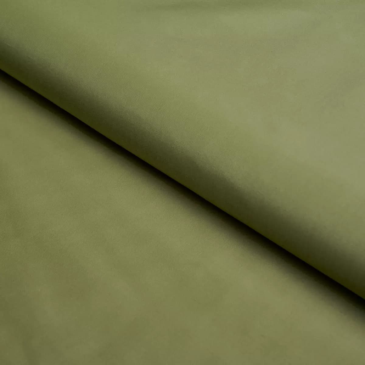 SARGENT SILK TAFFETA_ SAGE