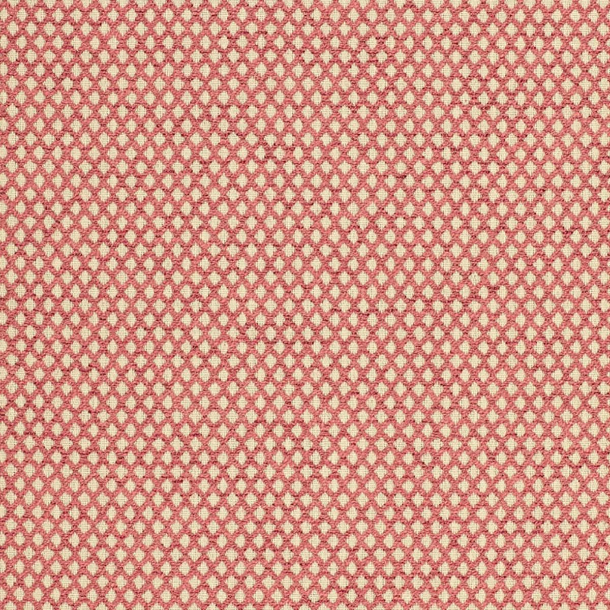 LOSANGE BOUCLÉ_ CRANBERRY
