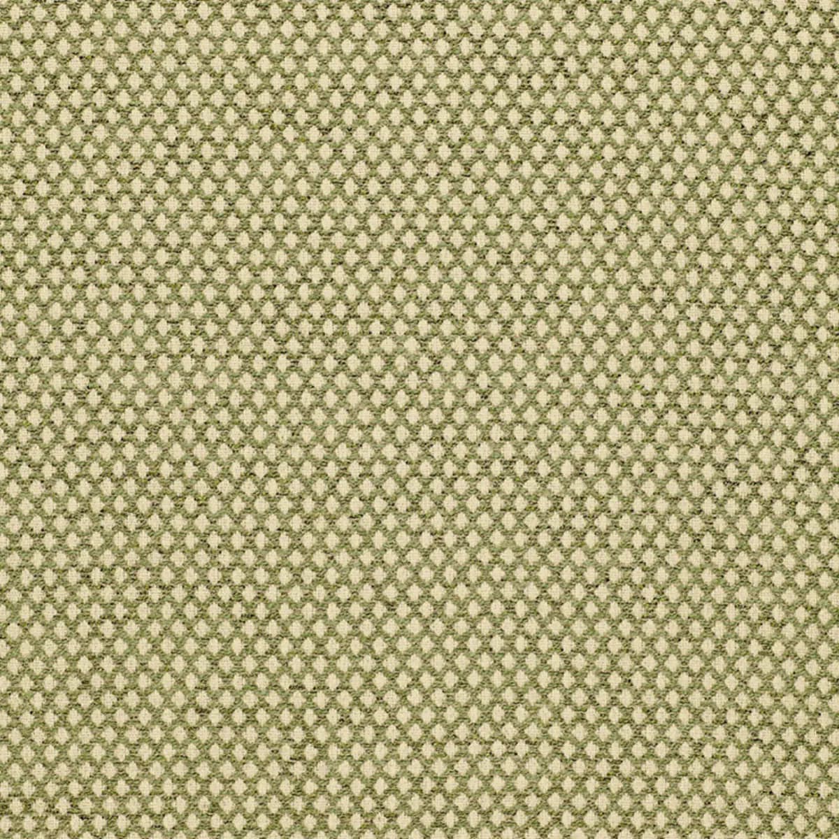 LOSANGE BOUCLÉ_ LEAF