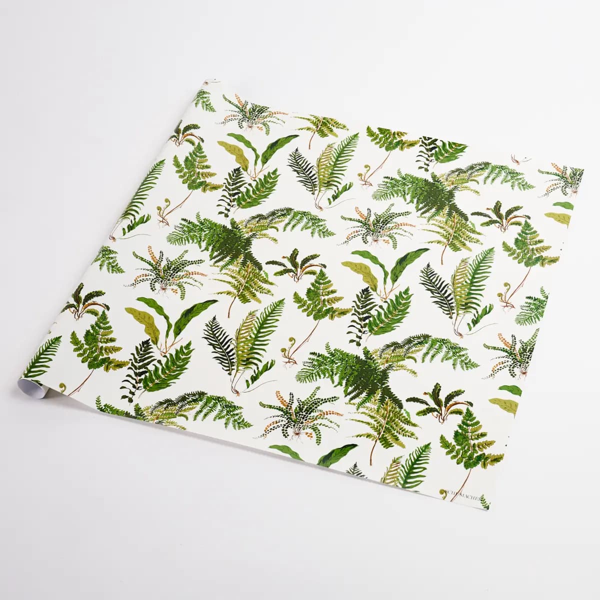 Les Fougeres Wrapping Paper_ DOCUMENT