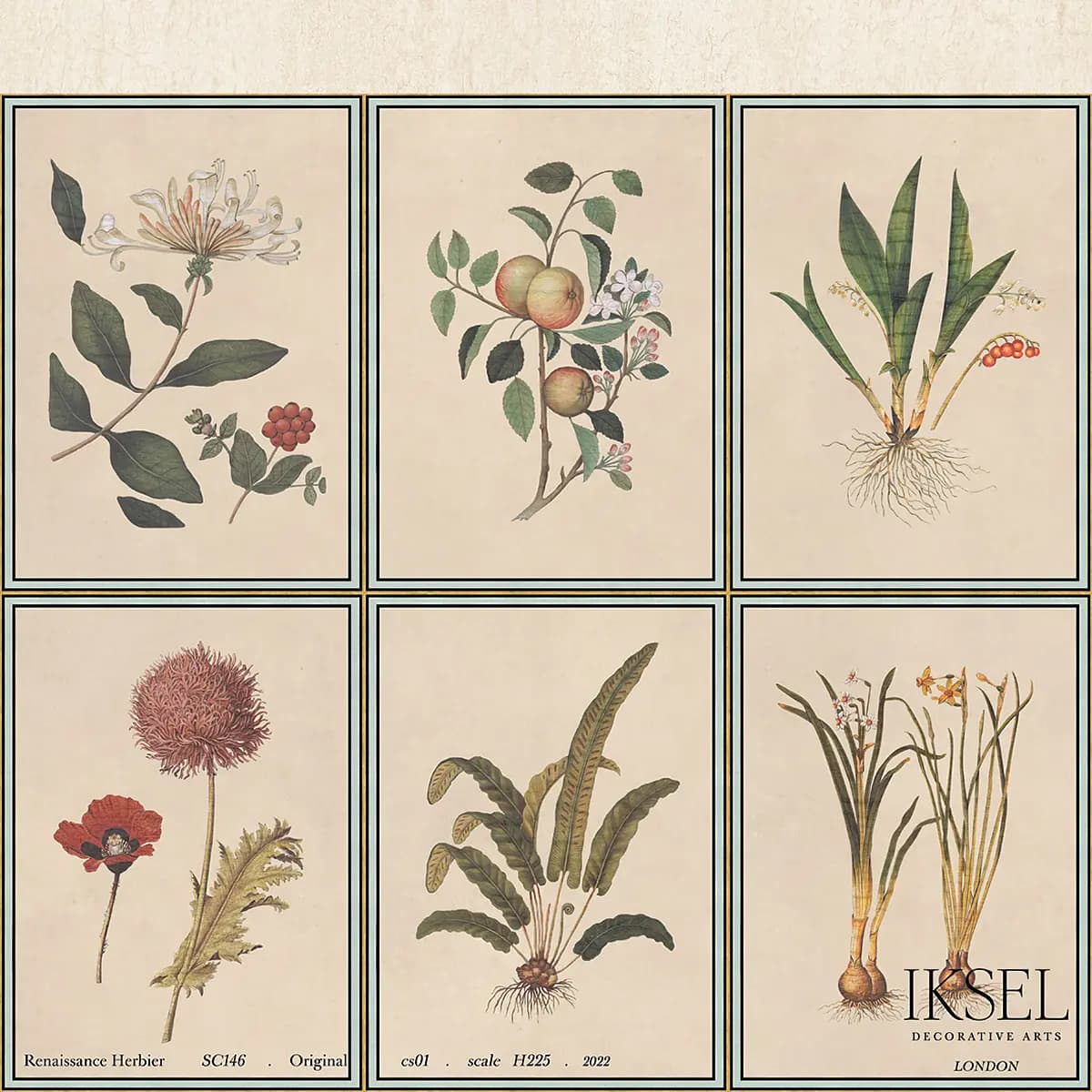 RENAISSANCE HERBIER_ ORIGINAL
