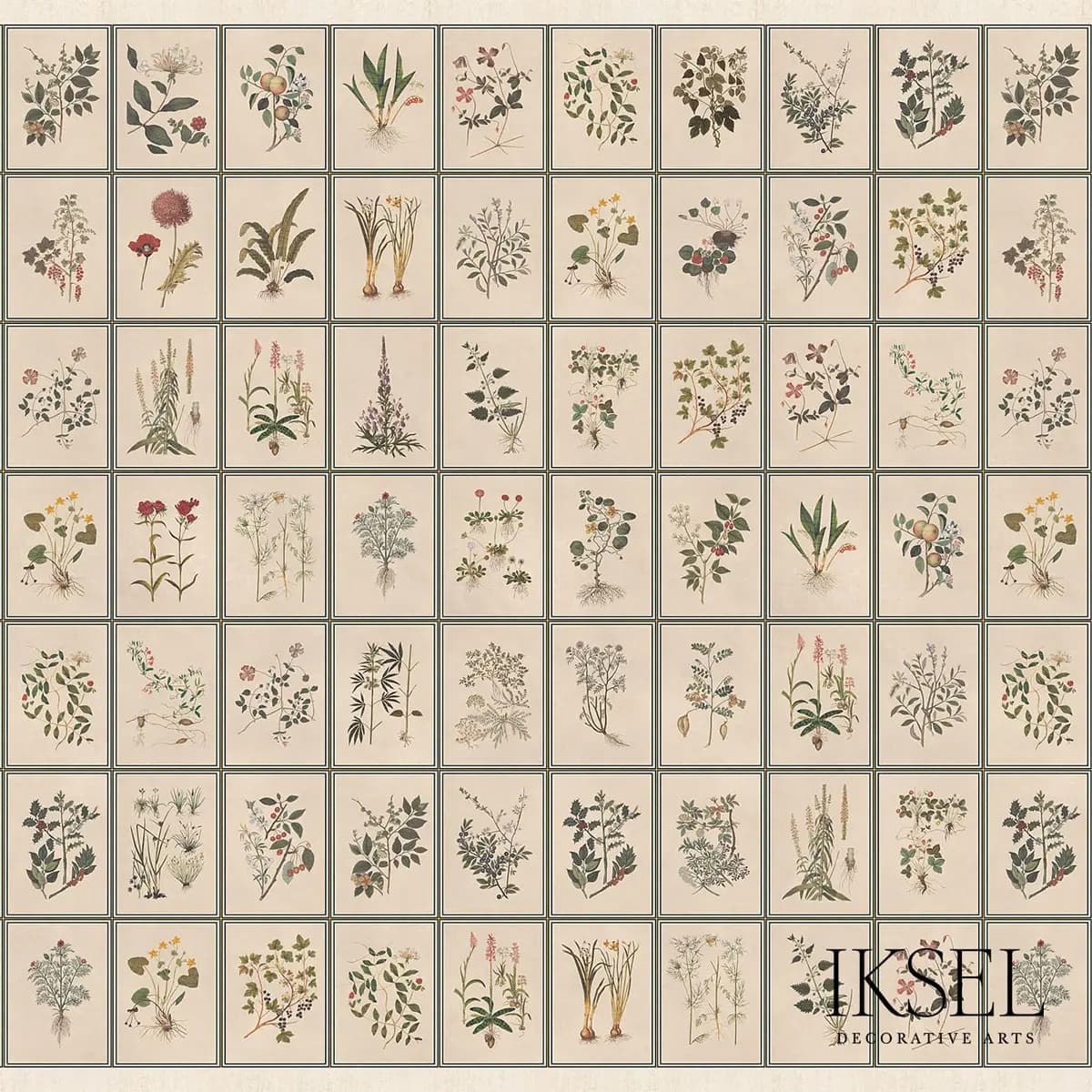 RENAISSANCE HERBIER_ ORIGINAL