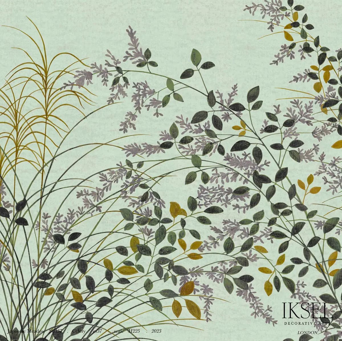 JAPANESE MEADOW_ CELERY
