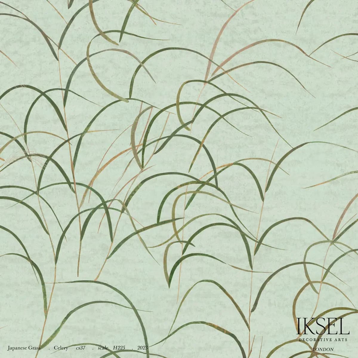 JAPANESE GRASS_ CELERY