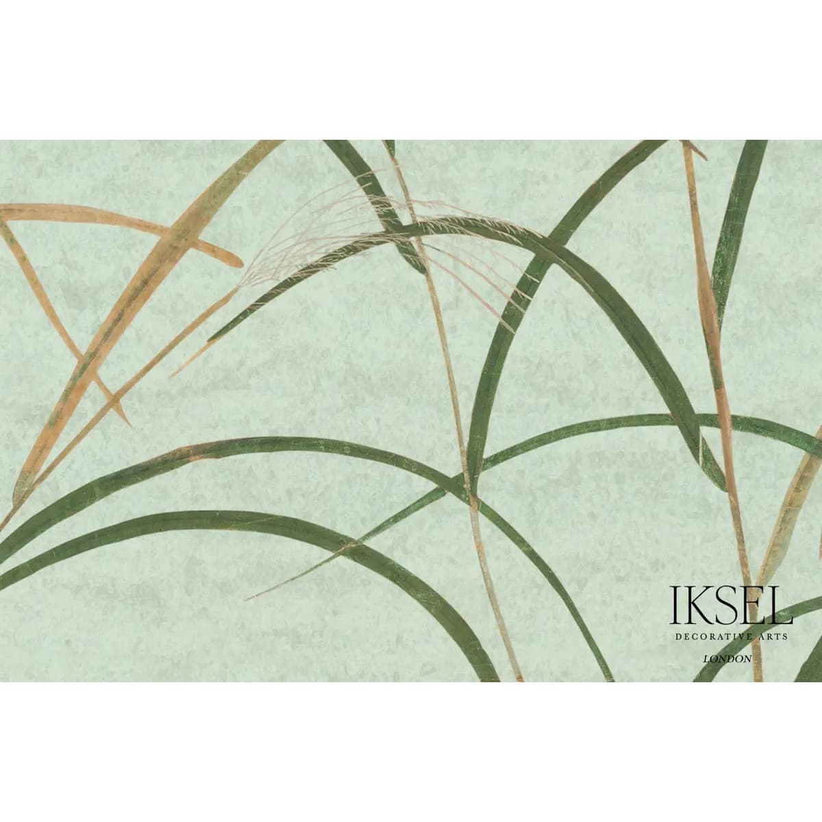 JAPANESE GRASS_ CELERY