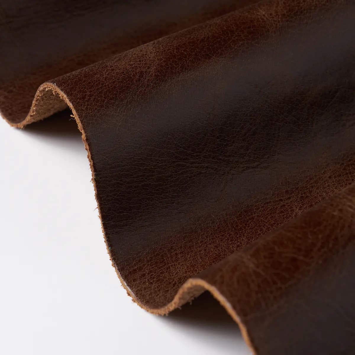 MATTO_ WALNUT