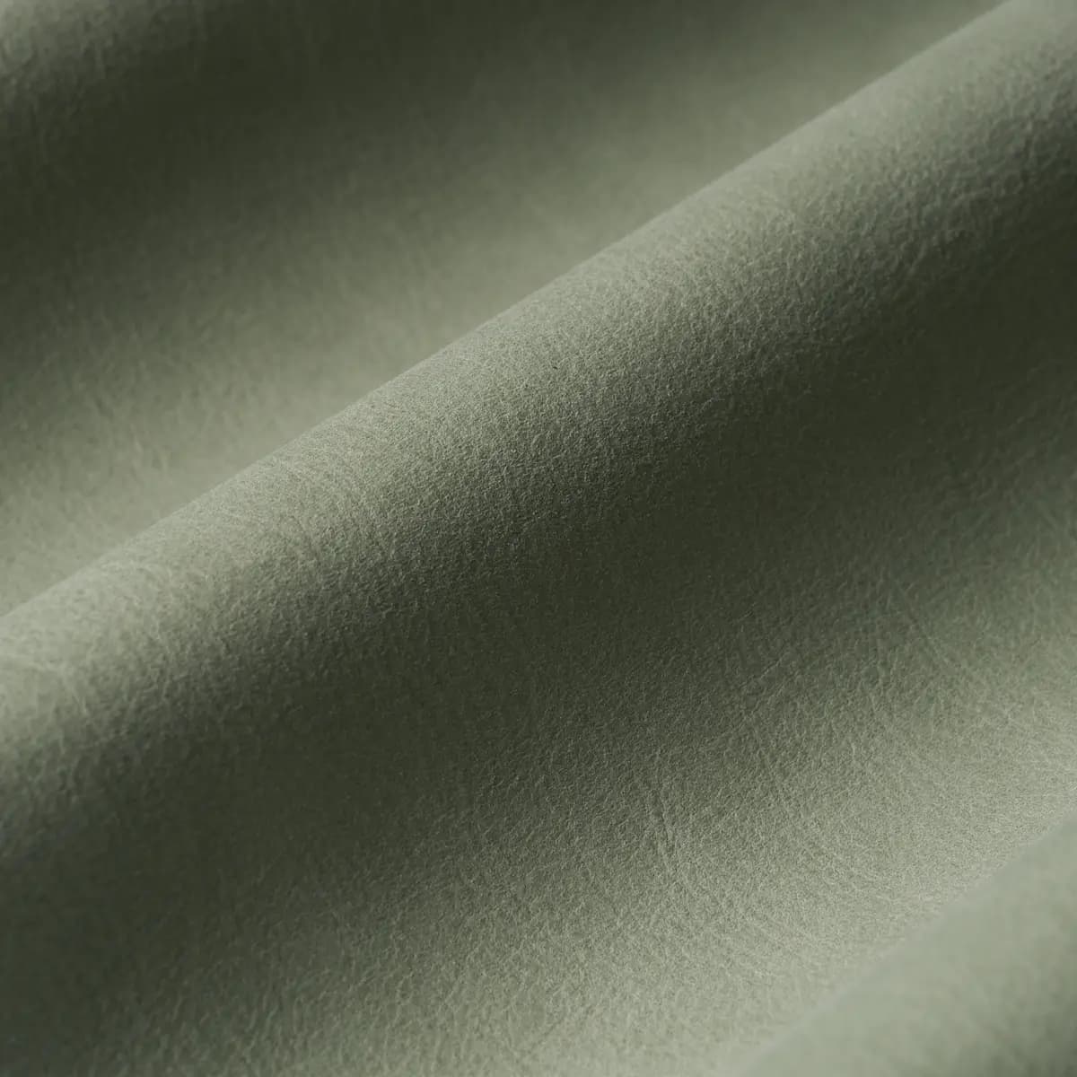 CORTINA_ SAGE