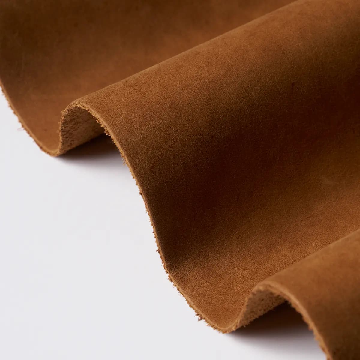 CORTINA_ CINNAMON