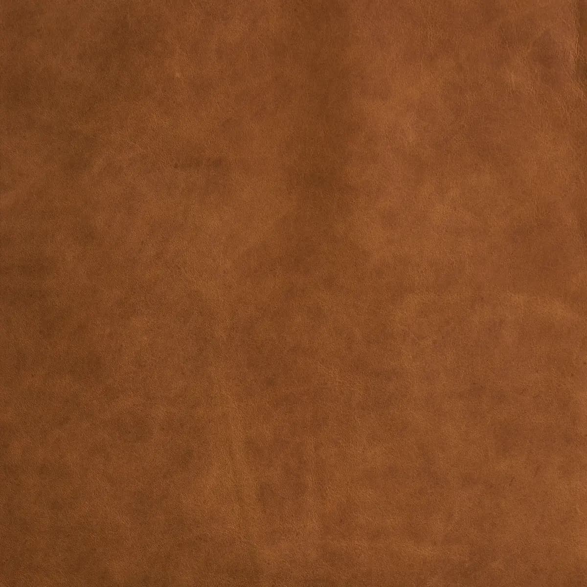 CORTINA_ CINNAMON