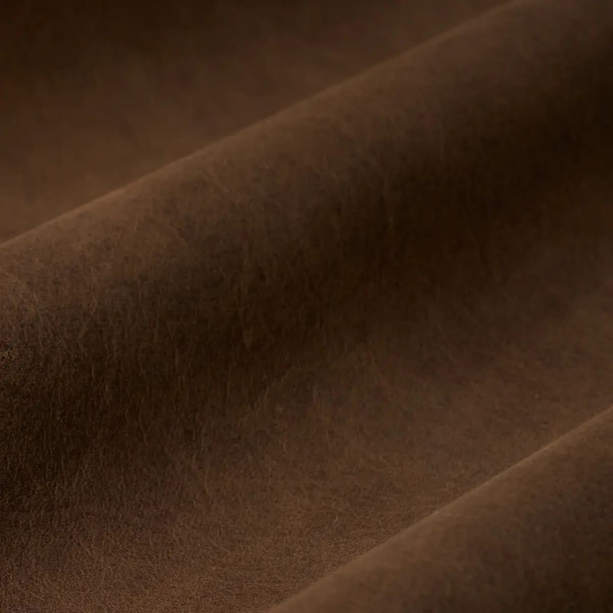 CORTINA_ WALNUT