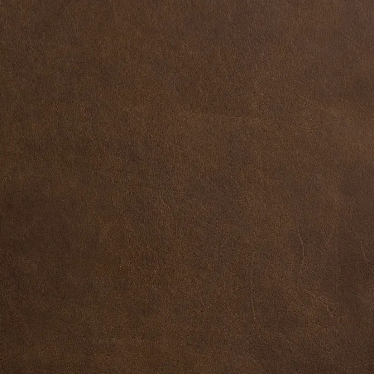 CORTINA_ WALNUT