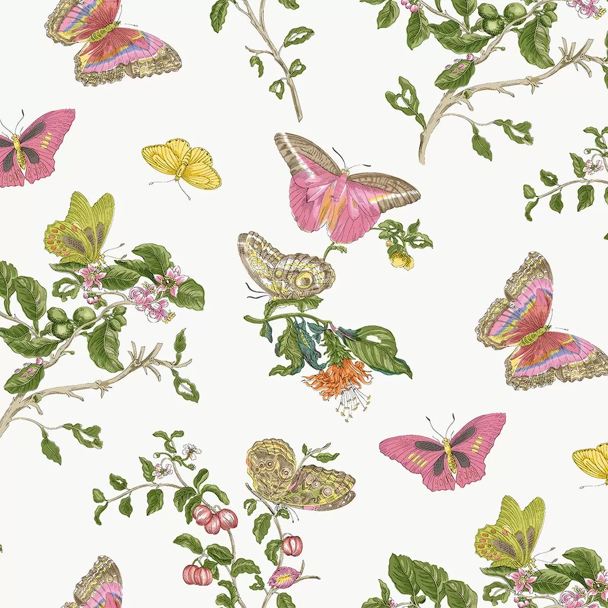 Baudin Butterfly Sleep Shirt_ PINK
