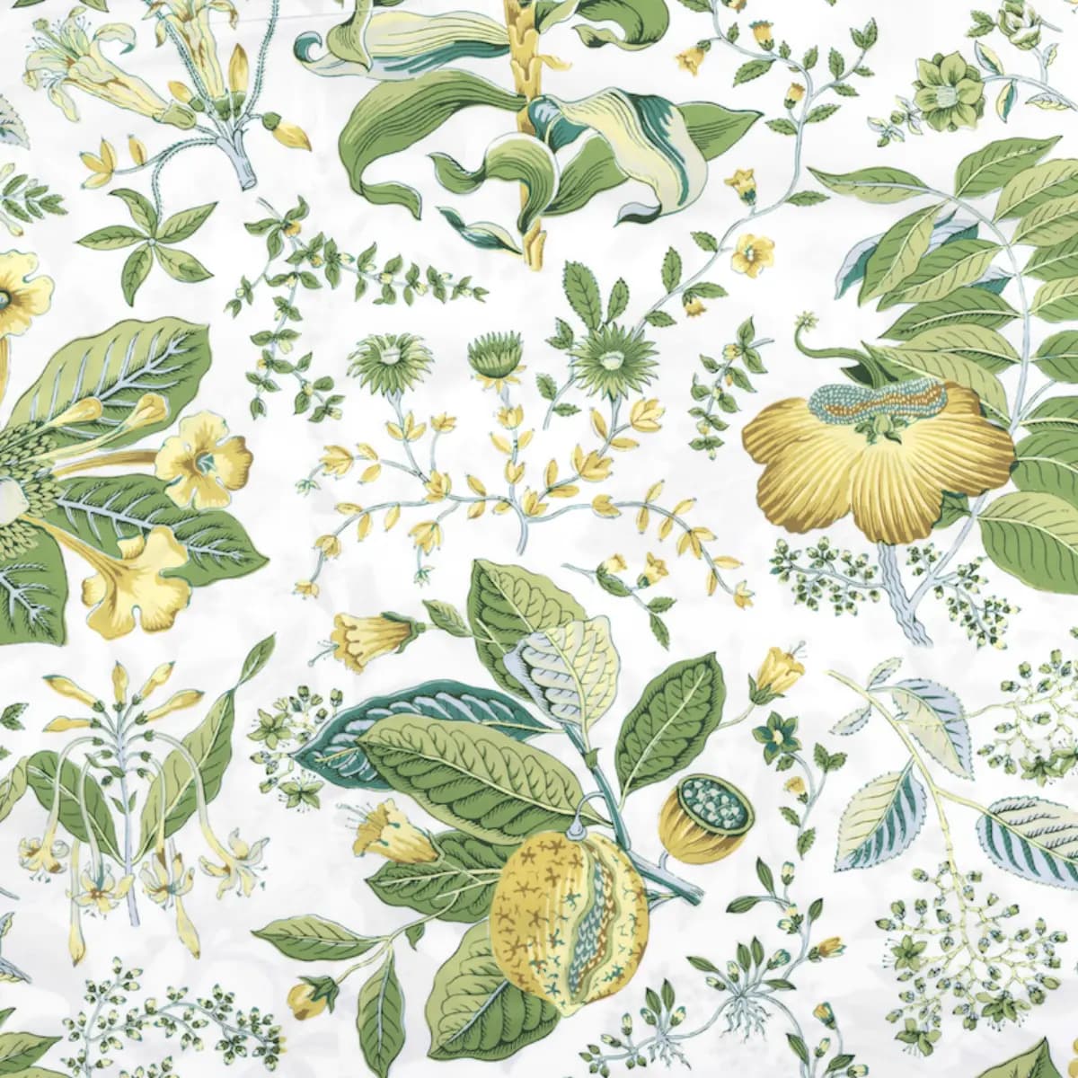 Pomegranate Flat Sheet_ CITRUS